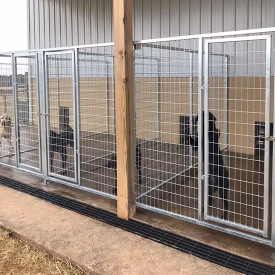 Gaiola resistente para animais de estimação, cachorro, gato, canil de metal